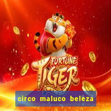 circo maluco beleza recife circo maluco